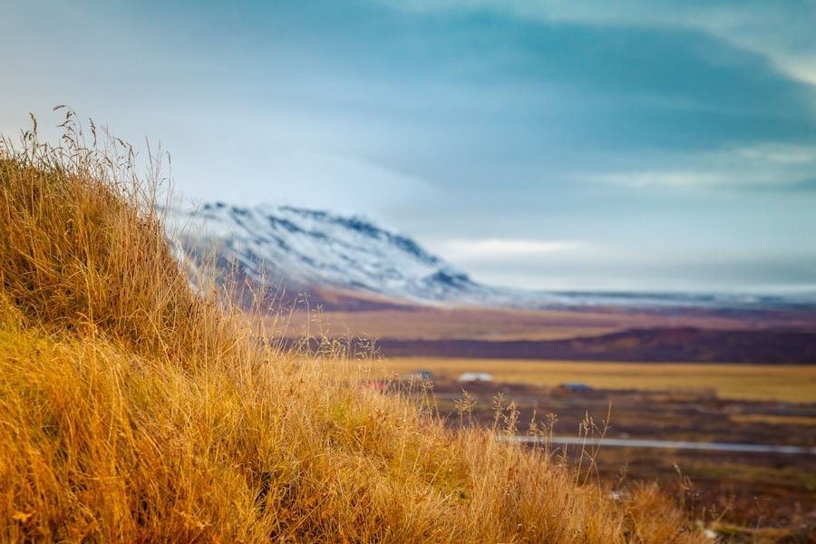Discover Your Perfect Mountain Getaway with DreamBuyRent