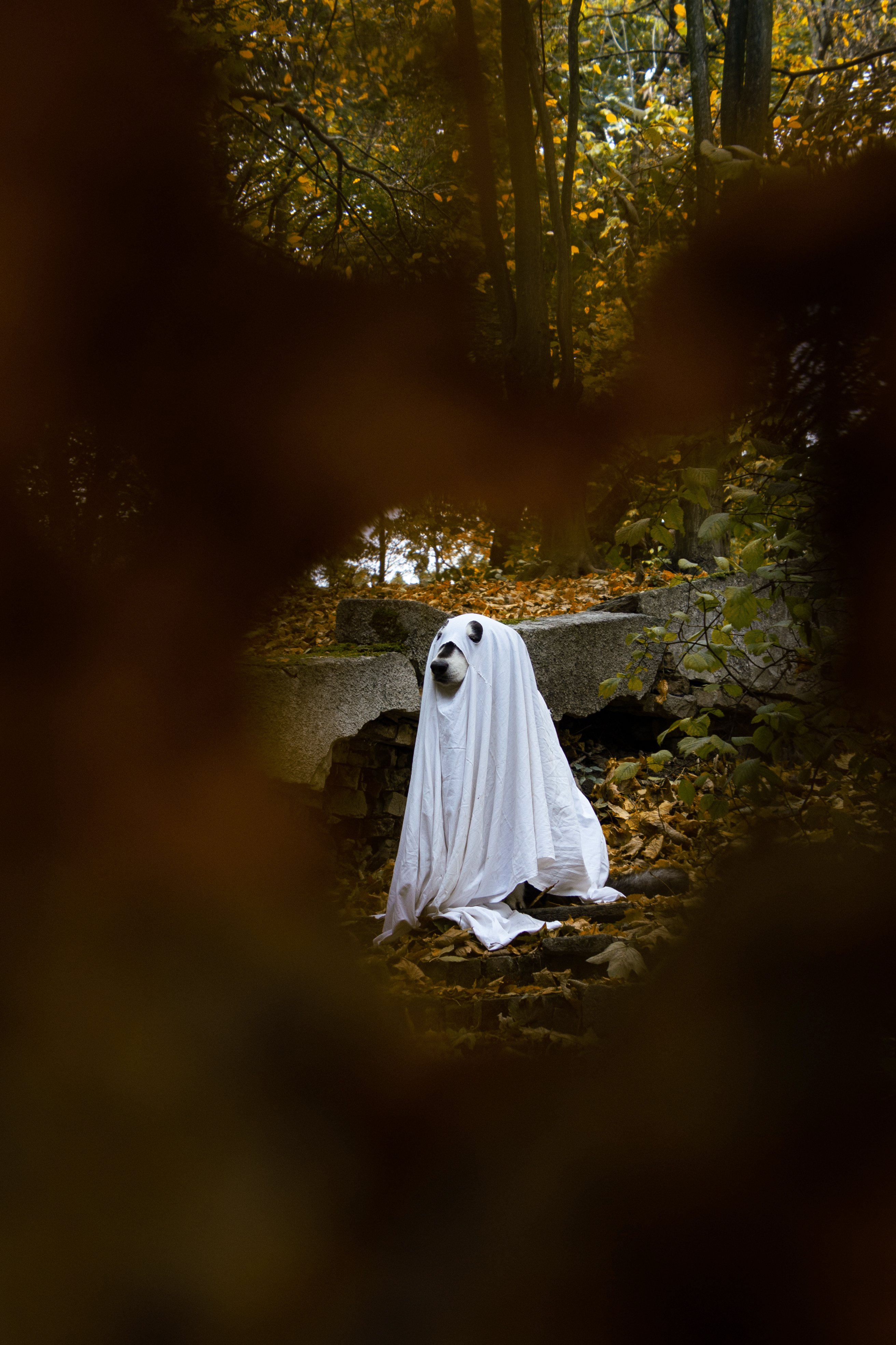 The Top 10 Most Haunted Places in America: Are You Brave Enough to Visit?