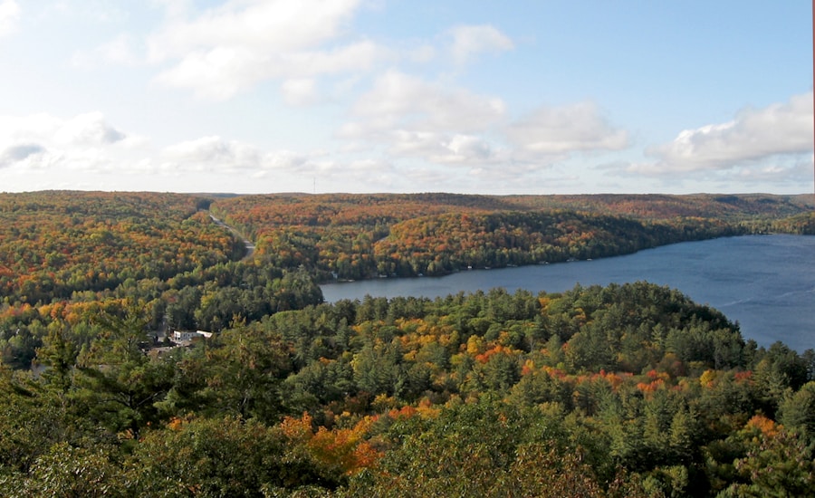 From Waterfalls to Wildlife: The Ultimate Guide to Charlestown Indiana State Park, to lost treasure