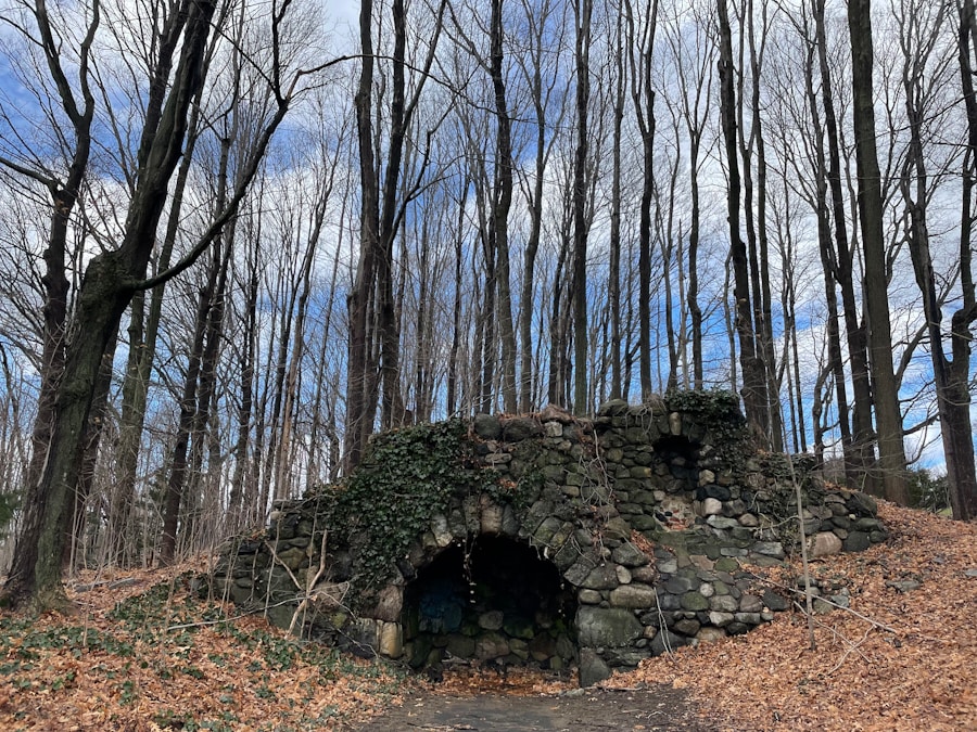 From Waterfalls to Wildlife: The Ultimate Guide to Charlestown Indiana State Park