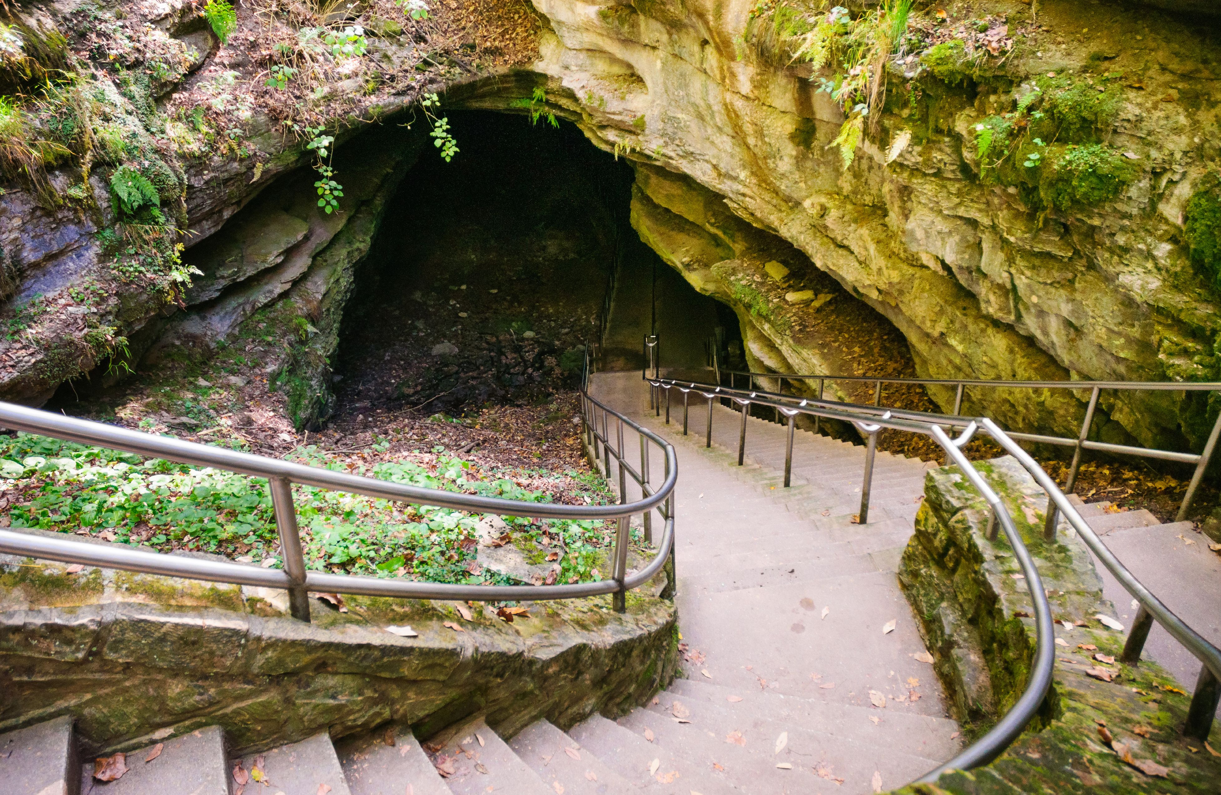 Kentucky's Best Kept Secrets: The Top Must-See Caves in the Bluegrass State