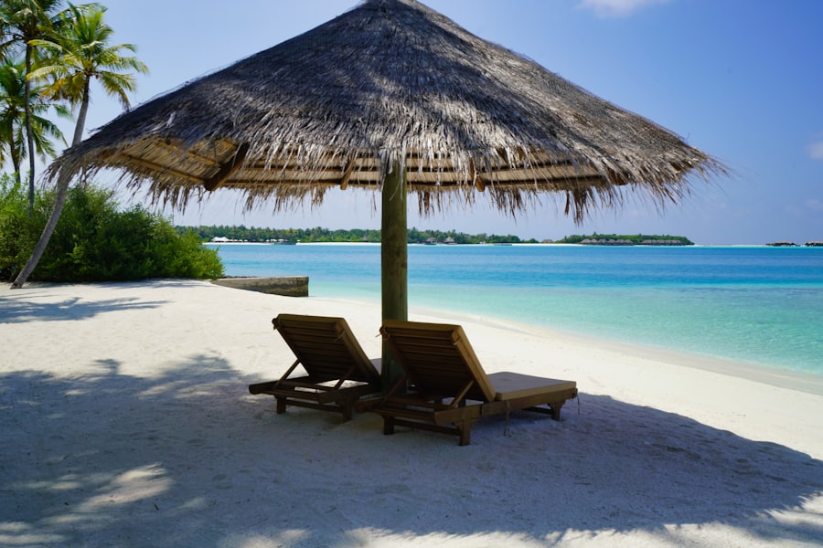 Exploring the Best Vacation Rental Site for Your Next Getaway