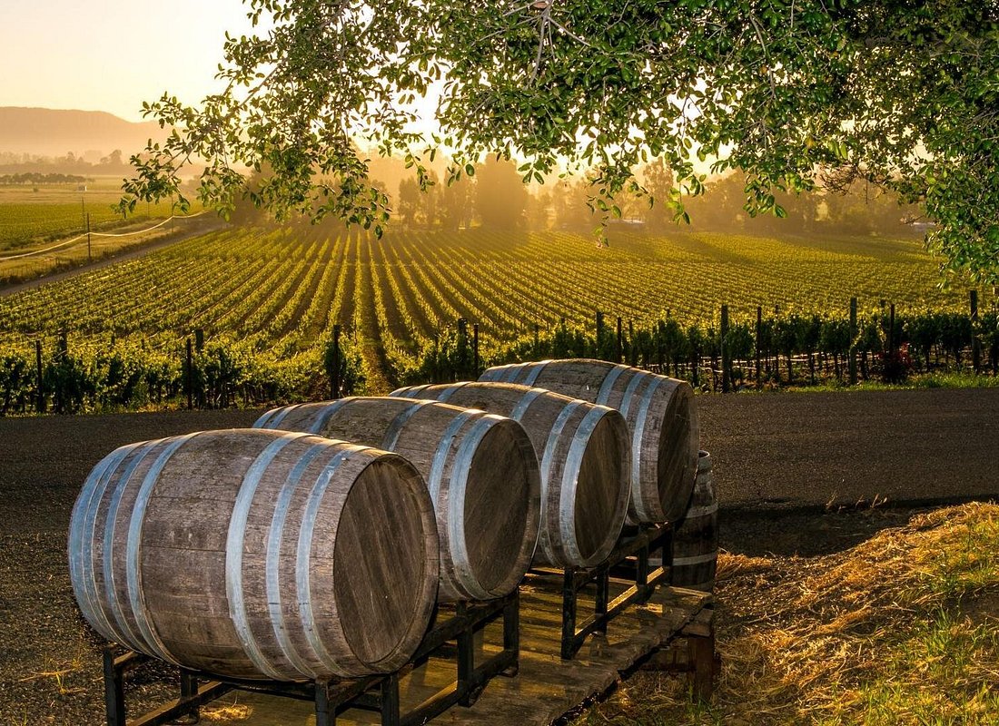 Fredericksburg, Texas – What Makes It Special?