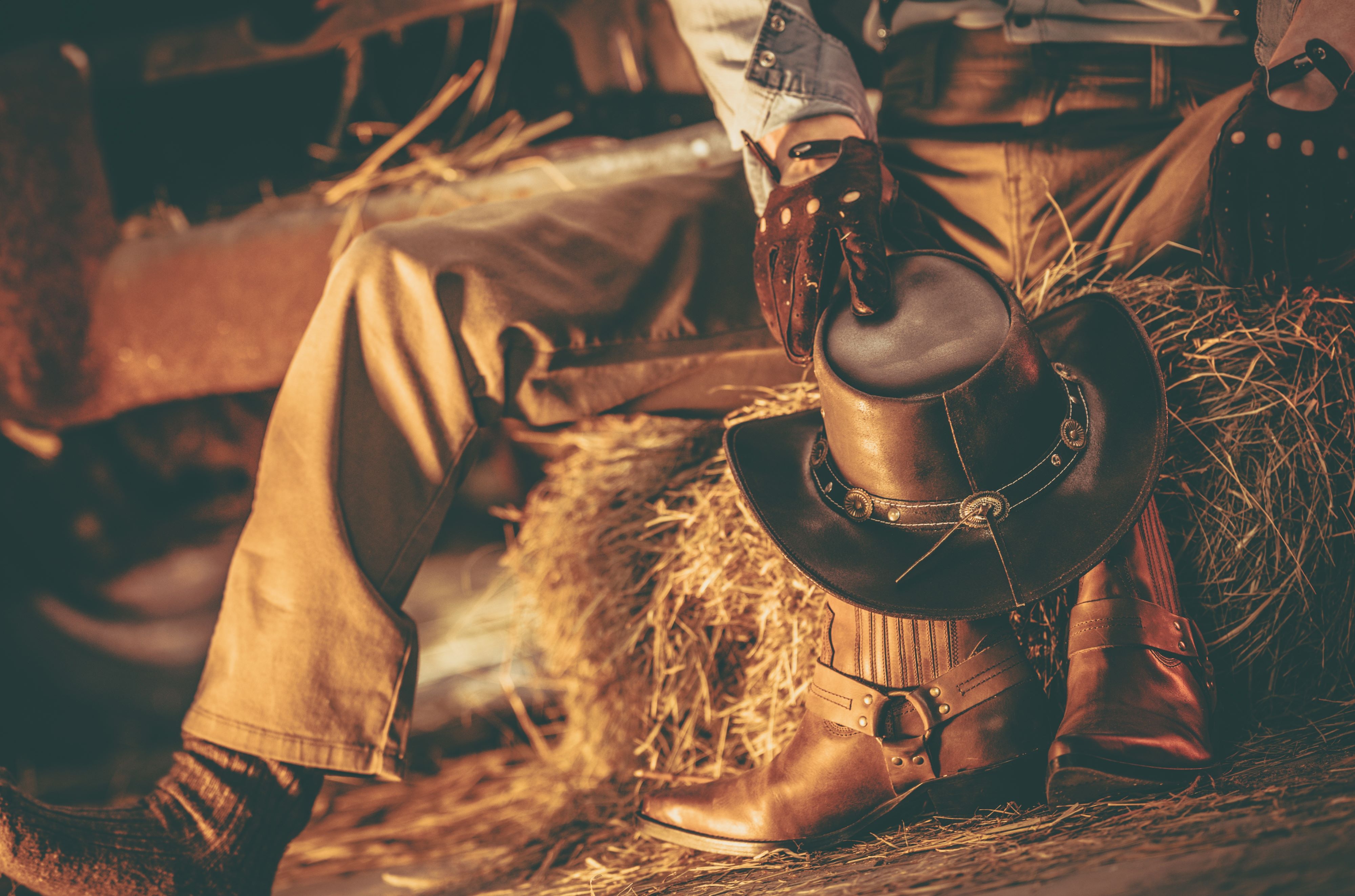 Exploring the Legendary Hatfield's and McCoy's Feud: A History of Bloodshed and Betrayal